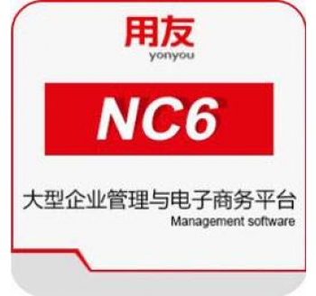 用友 NC6 大型企业管理与电子商务平台